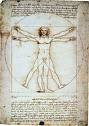 Leonardo da Vinci - anatomische Studie des Menschen